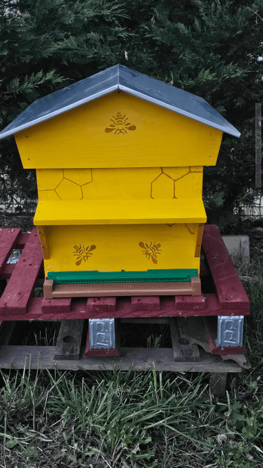 Décoration de vos ruches 