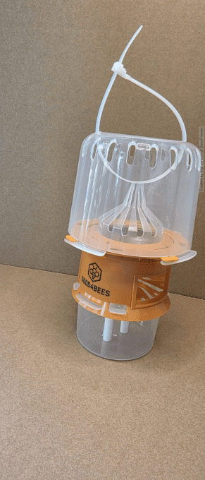 Piege-Frelon good4bees