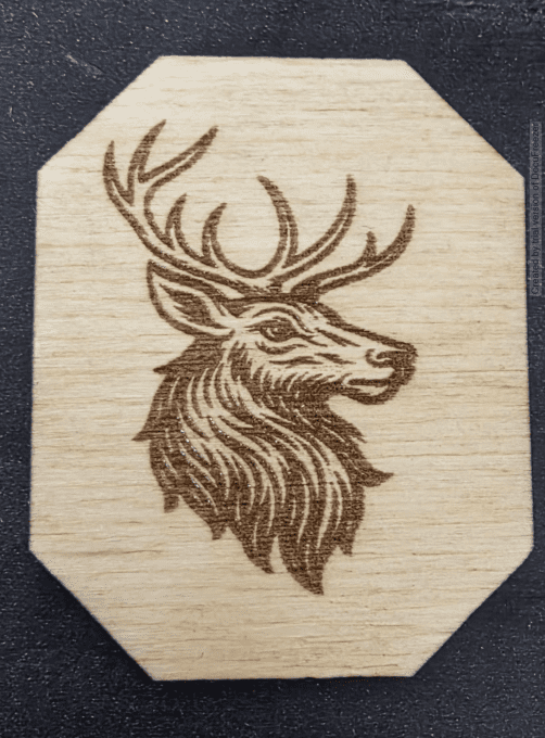 un cerf / reine en decoration 