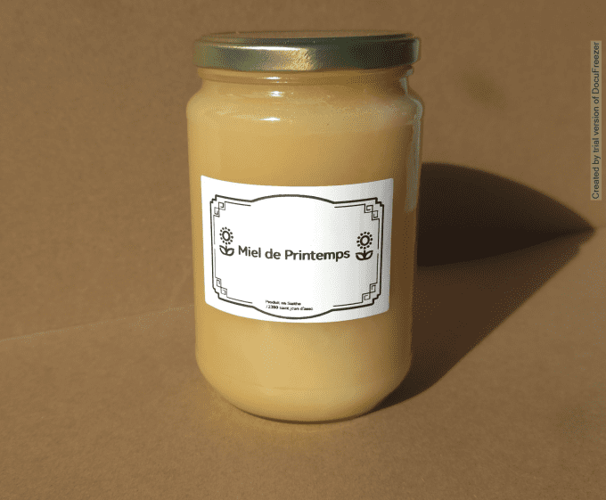 Miel de printemps 1Kg 